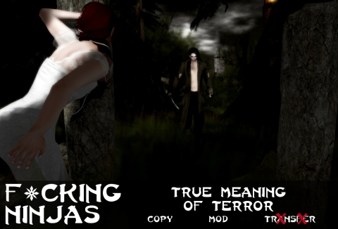True Meaning of Terror Pose Ad