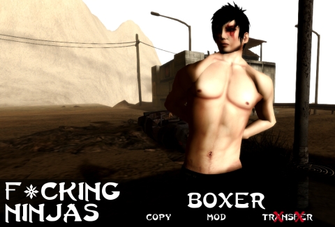 Boxer Pose Ad